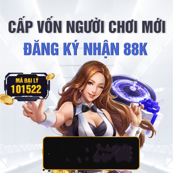 netwin